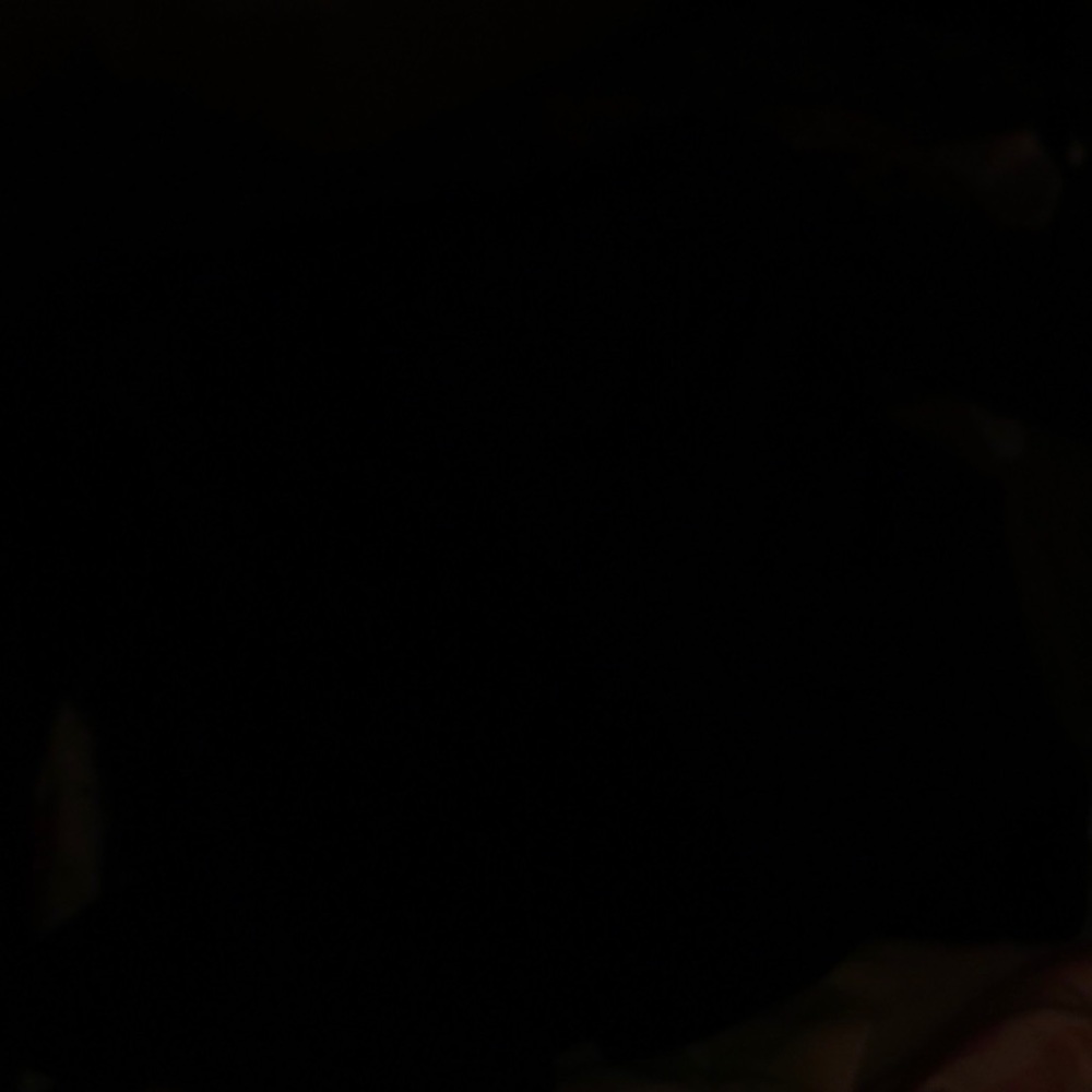 Jacket - Picture 4 of 4